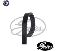 VRIBBED BELT 5PK1343 FOR MITSUBISHI L200/TRITON CARISMA SPACE/STAR/MPV PAJERO