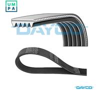 DAYCO 5PK962 Serpentine belt
