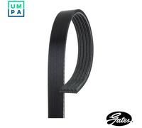 Multi-ribbed V-belt 5PK985 GATES for ALFA ROMEO OPEL FIAT JAGUAR AUDI BENTLEY