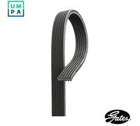 GATES 6DPK1195 Micro-V Xf Ribbed V-Belt