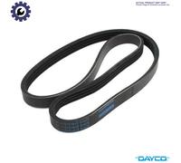 VRIBBED BELT 6DPK1195 FOR VW AUDI A3/S3 AFT/AUR/AKL/AEH/APF 1.6L 4cylAGU 1.8L A3