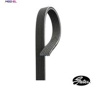 GATES V-Ribbed Belt 6DPK1698 - Micro-V Xf, 6 Ribs, 1698 mm, Fits BMW 1/3 Series