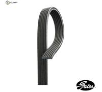 GATES 6DPK1698 Serpentine belt