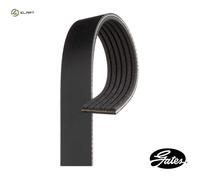 Gates 6PK1010 V-Ribbed Belt
