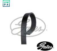 VRIBBED BELT 6PK1678 FOR FORD ESCORT/CLASSIC/Turnier/VI/Convertible FIESTA/III