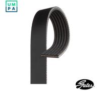 Multi-ribbed V-belt 6PK1853 GATES for MERCEDES-BENZ JEEP FIAT ALFA ROMEO AUDI