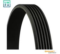 ContiTech V-Ribbed Belt 6PK1980 - 6 Ribs - Fits Mercedes-Benz, Jeep, SsangYong