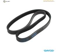 DAYCO 6PK2203 Serpentine belt