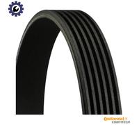 Multi-ribbed V-belt 6PK2490 CONTINENTAL CTAM for CHRYSLER AUDI VW LINCOLN