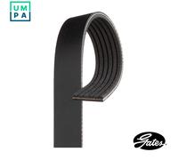 6 Rib Multi V Drive Belt fits VAUXHALL CORSA B 1.4 1.6 93 to 00 Gates 1340619