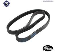 GATES 6PK893 Micro-V Xf Ribbed V-Belt