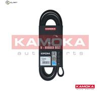 VRIBBED BELT 7016234 FOR SKODA VW PASSAT/B5.5 JEEP WRANGLER/II AUDI A4/B8/B7