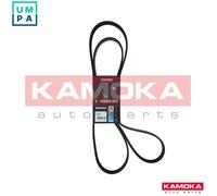 VRIBBED BELT 7017037 FOR RENAULT MASTER/III/Van/Platform/Chassis/Bus LAGUNA 2.3L