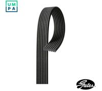 Multi-ribbed V-belt 7DPK1560 GATES for VW PHAETON