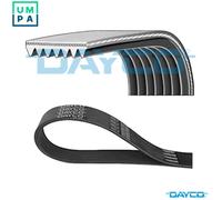 DAYCO 7PK1196H Serpentine belt