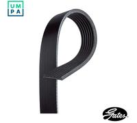 GATES 7PK1710XS Serpentine belt