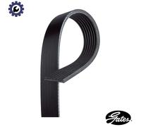 Multi-ribbed V-belt 7PK1800 GATES for LAND ROVER DISCOVERY Mk II DEFENDER Cabrio