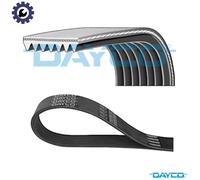 DAYCO 7PK1853 Serpentine belt