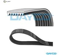 VRIBBED BELT 7PK1905 FOR TOYOTA RAV/4/III/VANGUARD CAMRY FORD SCORPIO/Mk/Break