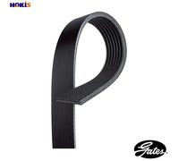 Gates Serpentine Belt 7PK2255 - 7-rib Multi V-Belt for Land Rover, Kia