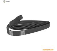 VRIBBED BELT 7PK2842 FOR FORD TRANSIT/Platform/Chassis/Van/Bus H9FB/H9FD 2.4L