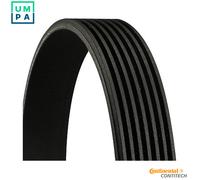 CONTITECH 7PK2875 Serpentine belt