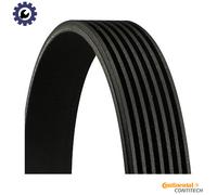 CONTITECH 7PK2875 Serpentine belt