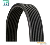 CONTITECH 8DPK1827 Serpentine belt