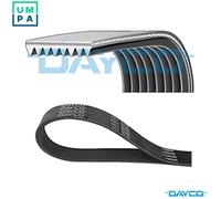 VRIBBED BELT 8PK1035HD FOR VOLVO D12A340/D12D340/D12C340/D12D380/D12C380 12.1L