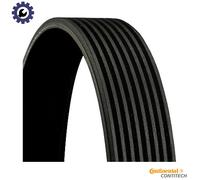 Fits CONTITECH 8 PK 1165 V-ribbed Belt 8 PK 1165 Multi-V-belt (8PK1165) fits: M