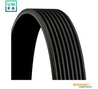 4x ✅Fits CONTITECH 8 PK 1220 V-ribbed Belt 8 PK 1220 Multi-V-belt (8 ⭐UK Seller⭐
