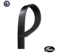 Gates 8PK1295XS V-Ribbed Belt