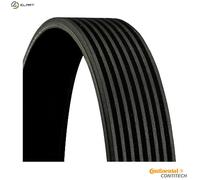 CONTITECH 8PK1440 Serpentine belt
