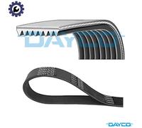 New V-Ribbed Belt 1906560 3288878 3922605 3934241 3967055 R123307 R135682