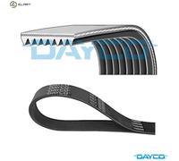 VRIBBED BELT 8PK1520HD FOR DAF CF/65 LF/45/55 BE110C/123C/99C 3.9L 4cyl LF 45