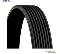 Multi-ribbed V-belt 8PK1795 CONTINENTAL CTAM for MERCEDES-BENZ SCANIA