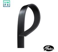 GATES 8PK2335 Serpentine belt