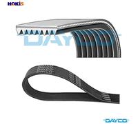 DAYCO 8PK848 Serpentine belt