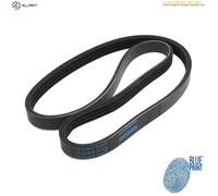 BLUE PRINT AD05R1515 Serpentine belt