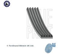 BLUE PRINT AD05R1650 Serpentine belt