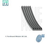 BLUE PRINT AD05R1650 Serpentine belt