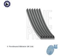 BLUE PRINT AD06R1700 Serpentine belt