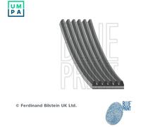 BLUE PRINT AD06R1895 Serpentine belt
