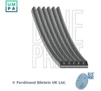 BLUE PRINT AD06R2205 Serpentine belt