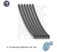 Blueprint AD06R2257 V-Ribbed Belt Fits Jeep Commander Wrangler Mazda 6 Ssangyong