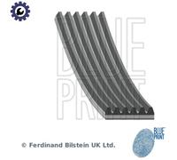 VRIBBED BELT AD06R2550 FOR G4KE/G4KC/G4KJ 2.4L G4KA/G4KD 2.0L 4cyl