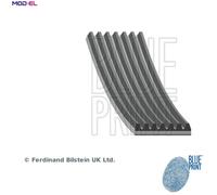VRIBBED BELT AD07R1580 FOR 19/16/17L 4cyl