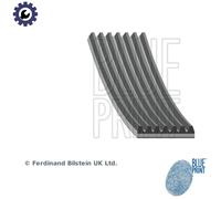 Blueprint V-Ribbed Belt 1801mm Length Fits Land Rover Defender Discovery