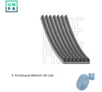 BLUE PRINT AD07R1817 Serpentine belt