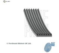 BLUE PRINT AD07R1853 Serpentine belt